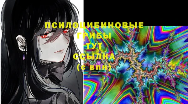 марки nbome Дмитриев