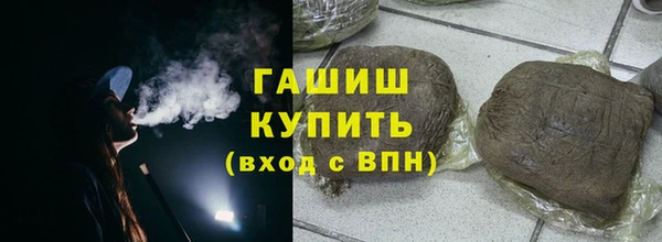 индика Богородицк