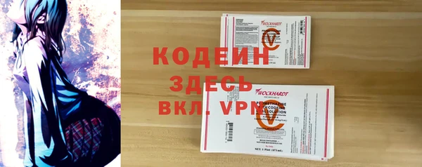индика Богородицк