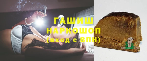 индика Богородицк
