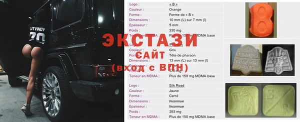 индика Богородицк