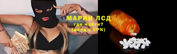 индика Богородицк
