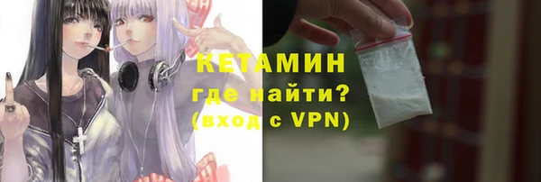 индика Богородицк