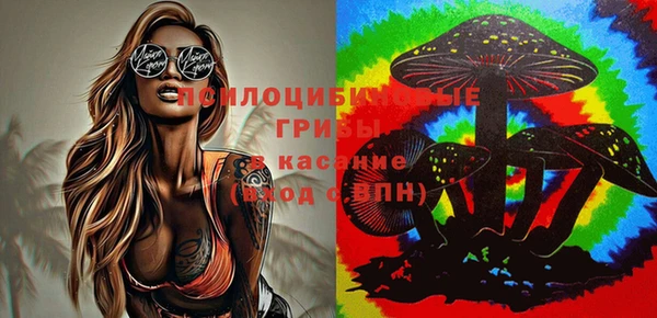 индика Богородицк
