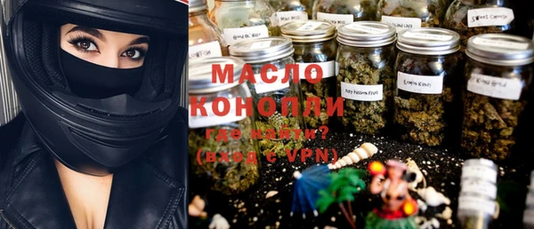 индика Богородицк