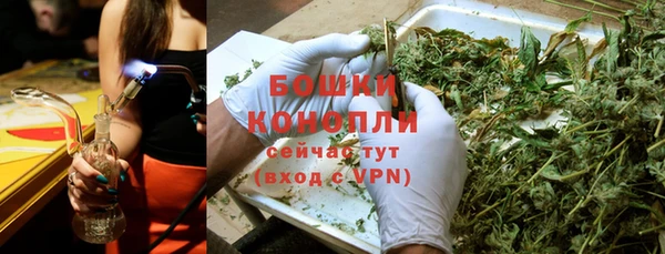 mix Белокуриха