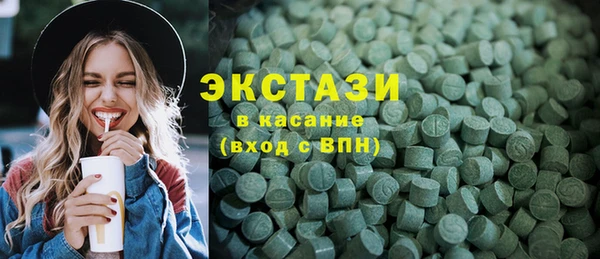 индика Богородицк