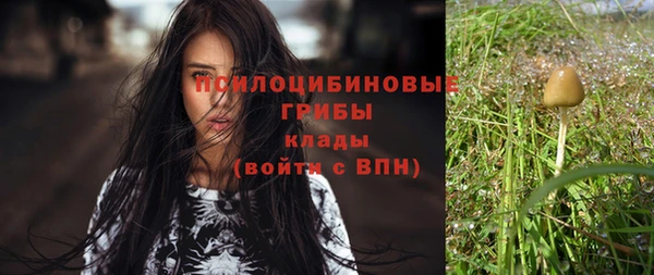 mix Белокуриха