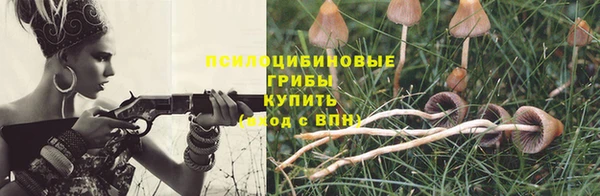 кокаин колумбия Богданович