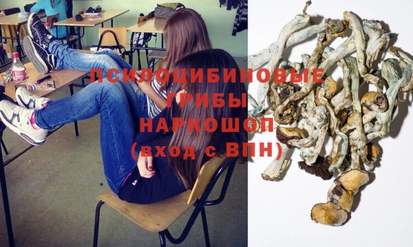 первитин Богородск