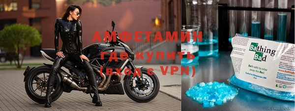 индика Богородицк