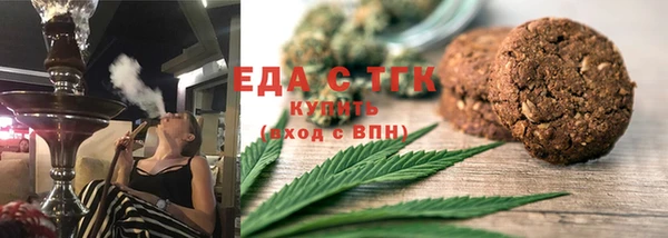 индика Богородицк
